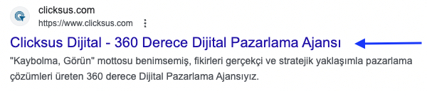 google' da site adı